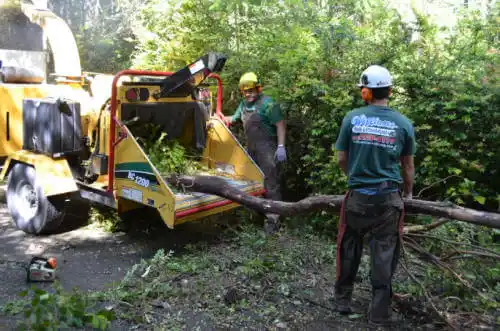 tree services Plummer